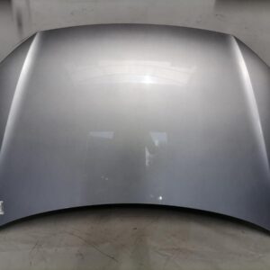 Volkswagen Polo 9N3 Front Hood Reflex Silver Metallic OEM 6Q0823031J