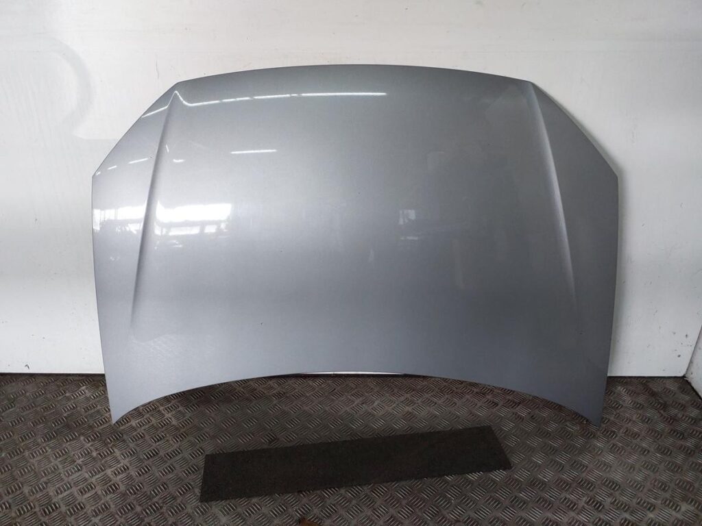 Volkswagen Polo 9N3 Front Hood Silverbird Metallic OEM 6Q0823031J