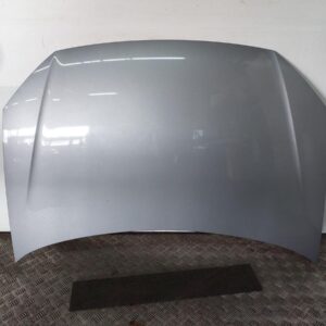 Volkswagen Polo 9N3 Front Hood Silverbird Metallic OEM 6Q0823031J