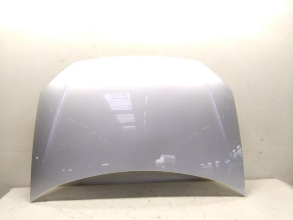 Volkswagen Polo 9N3 Front Hood Reflex Silver Metallic OEM 6Q0823031J