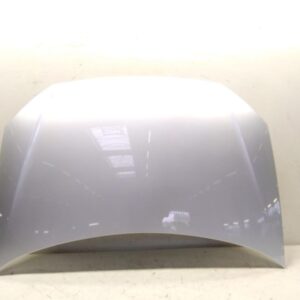Volkswagen Polo 9N3 Front Hood Reflex Silver Metallic OEM 6Q0823031J