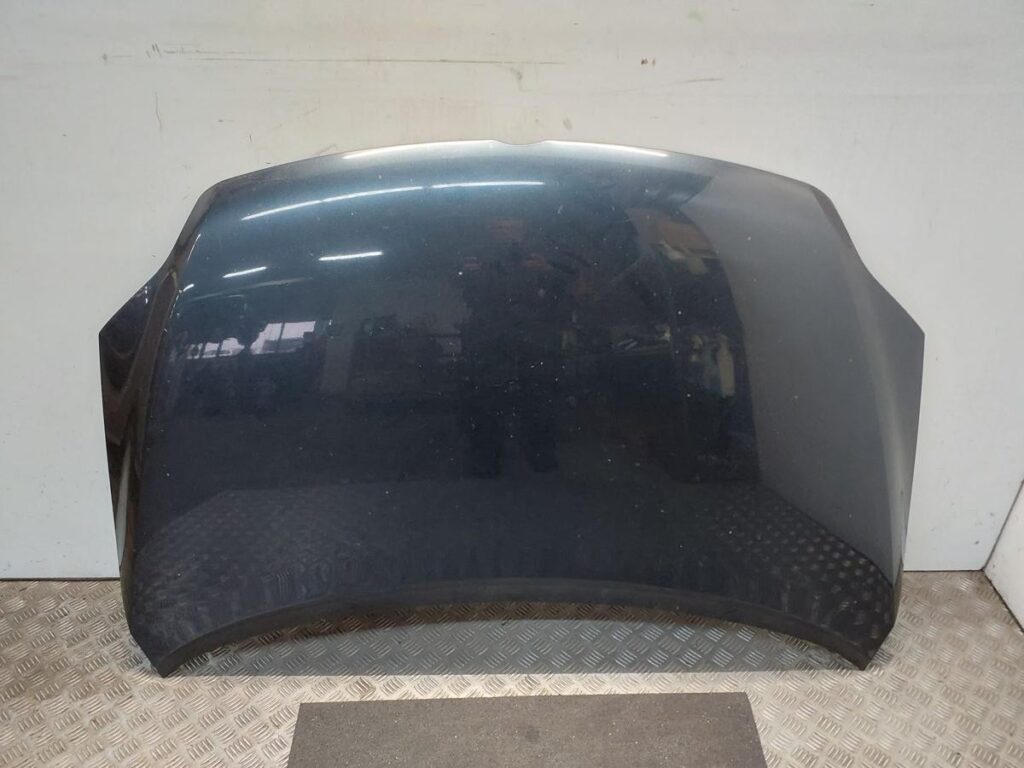 Volkswagen Golf Plus 5M Front Hood Marlin Blue Pearl