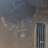 Volkswagen Transporter / Caravelle T4 Front Hood