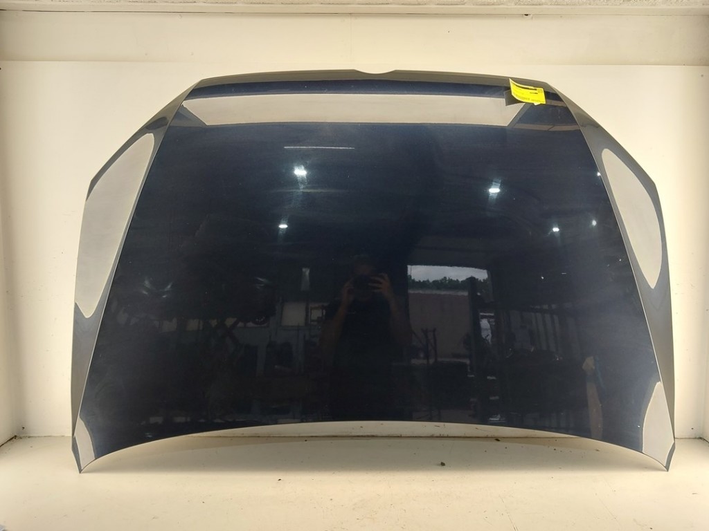 Volkswagen Golf Sportsvan AUVS Front Hood