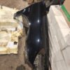 Porsche Cayenne 92A Front Right Fender